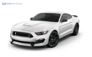 Grey FORD MUSTANG 2020