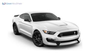 Grey FORD MUSTANG 2020